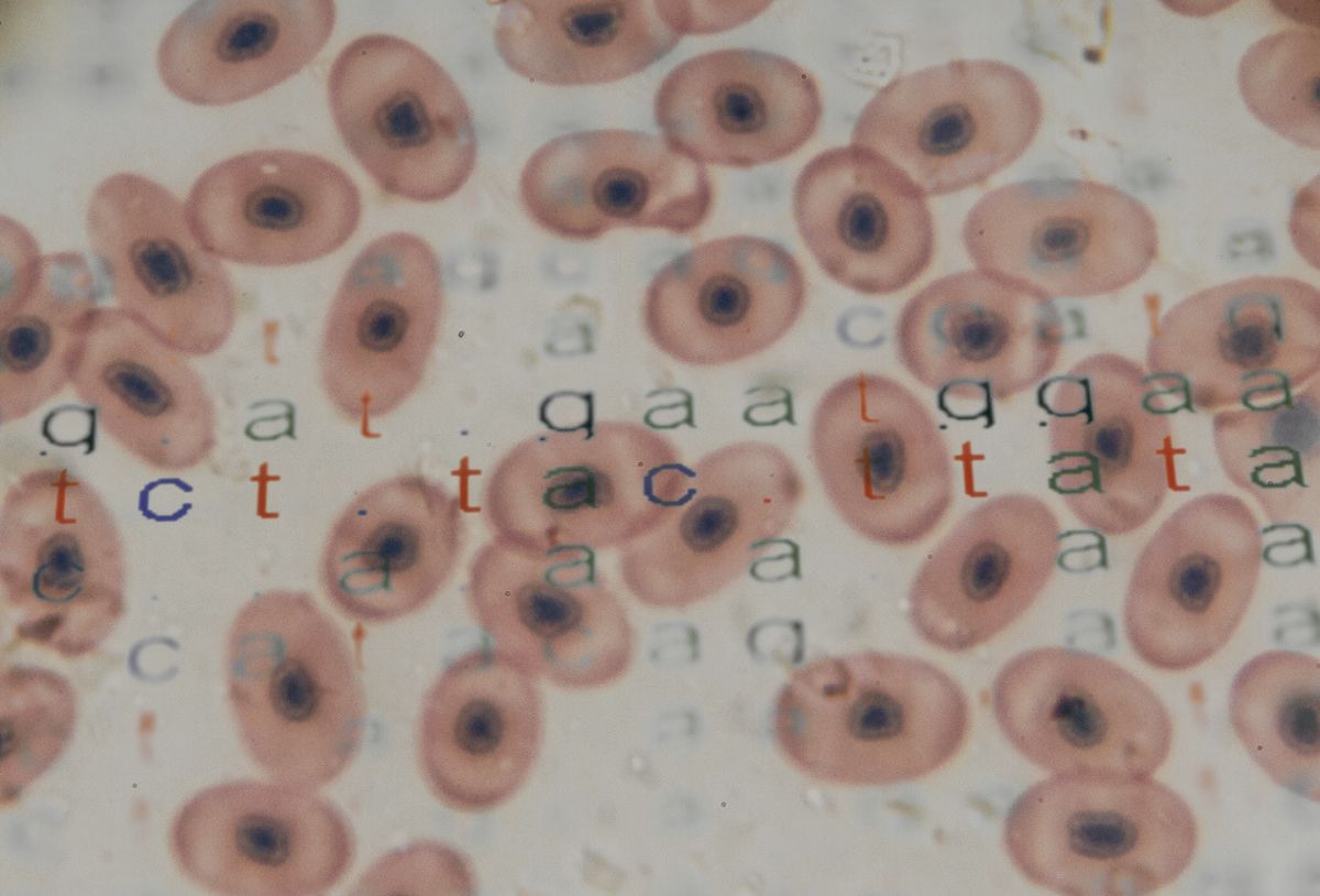 Preclinical Development Primer 201 | CPE – CPE LATEST