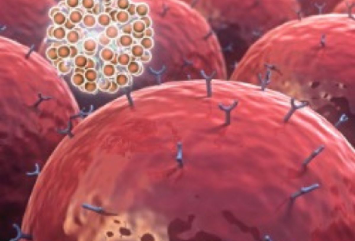 Immunology Primer 101 | CPE