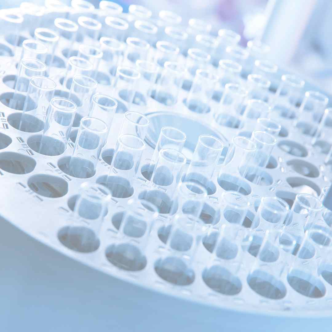 cGMP PRIMER | CPE – CPE LATEST
