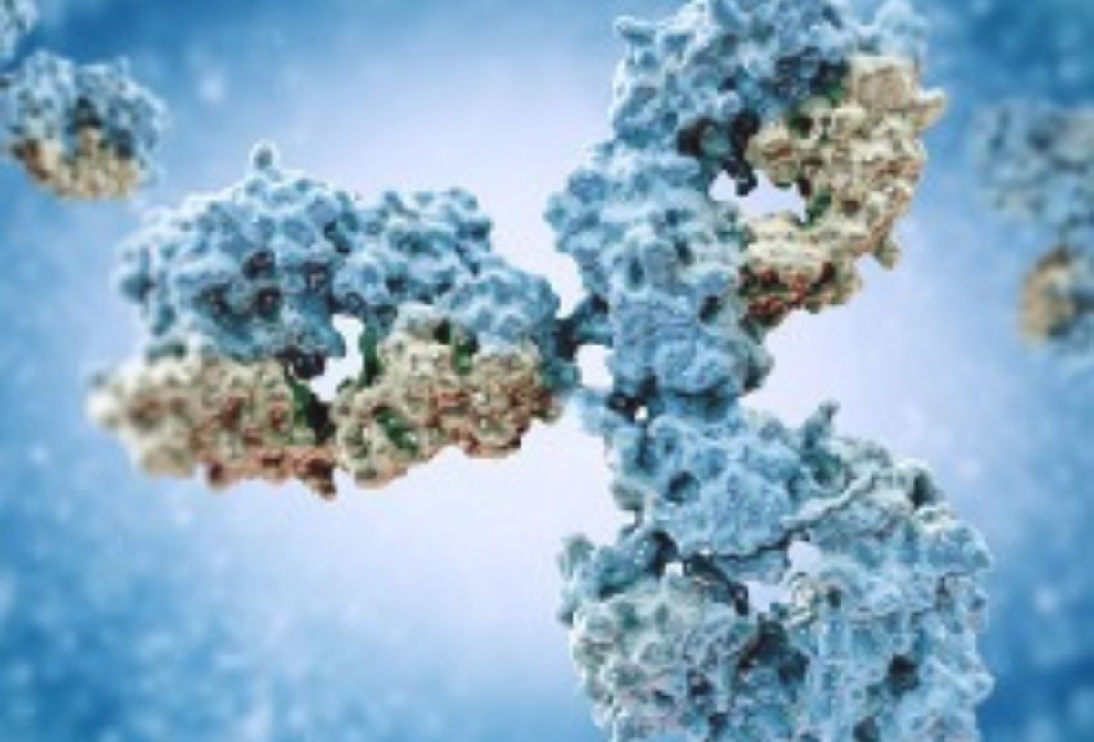 Antibody Primer | CPE – CPE LATEST