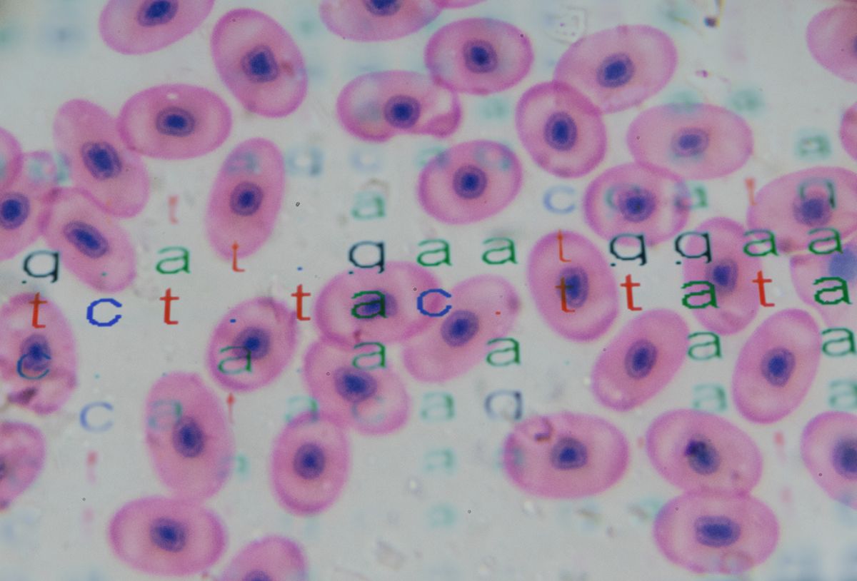 Preclinical Development Primer 101  | CPE – CPE LATEST