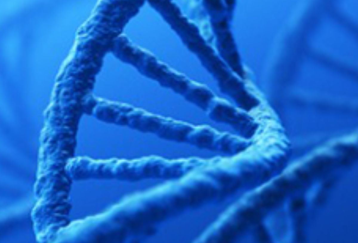 Medical Device Executive Certification