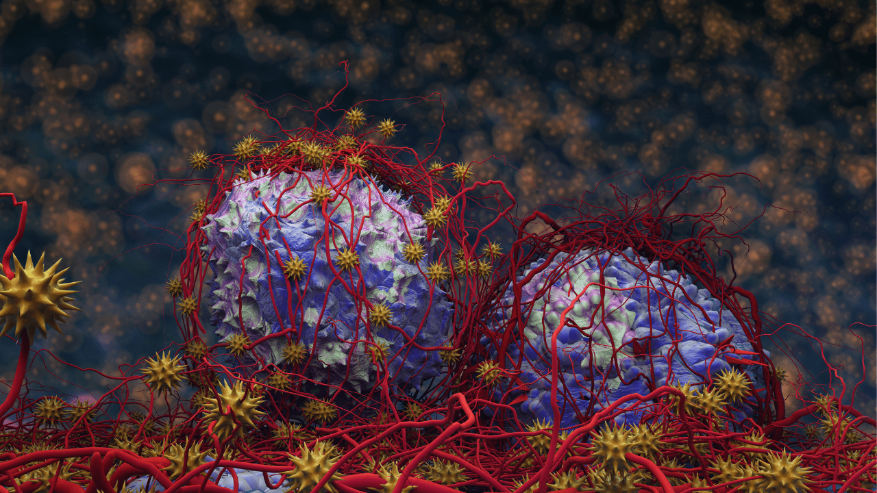 Tumor Microenvironment Explained Blog Images Desktop 1280 x 720